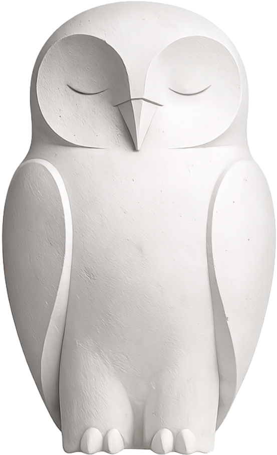 Ilustración de la experiencia de siguiente paso